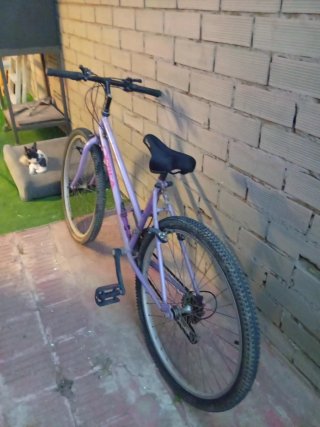 Bicicleta Morada Chica