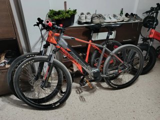 Bicicleta Eléctrica megamo