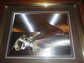 Lotto Quadri Vintage Josephine Marsh Foil Art