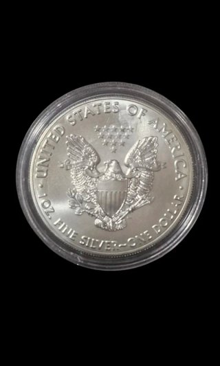 Dólar USA 2020 Silver Eagle Plata Color