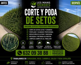 Servicio Profesional de Corte y Poda de Setos