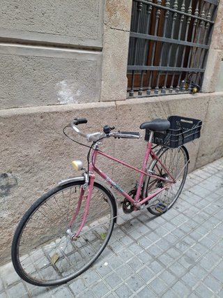 Bicicleta clásica Gacela BH Rosa