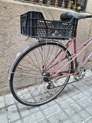 Bicicleta clásica Gacela BH Rosa