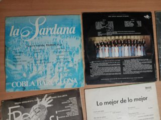 Lote 10 vinilos varios