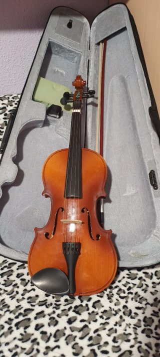 Violín para principiantes con funda