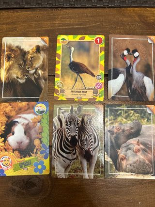 Cromos Rewild Animales (Lote)