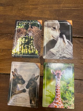 Cromos Rewild Animales (Lote)
