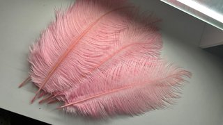 Plumas de Avestruz Rosa Claro 30-35cm