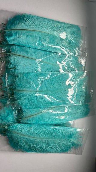 100 Plumas Carnaval Turquesa 15-20 cm