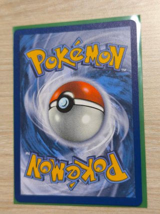Carta Pokémon Mega-Eelektross EX 266/217