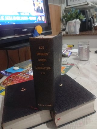 Los nobel de literatura volumen VII