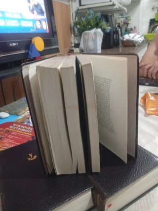 Los nobel de literatura volumen VII