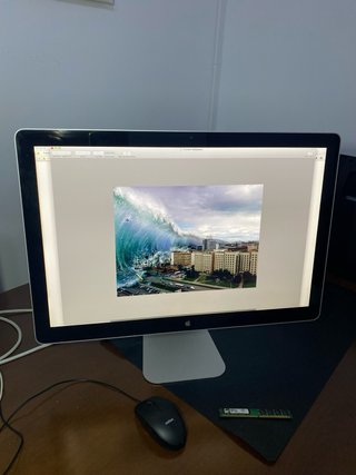 Apple Cinema Display A1267 24” 2008