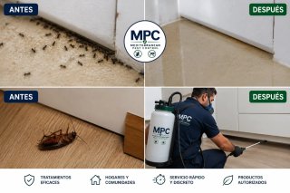 Elimina todos los bichos de casa, desde 80€.