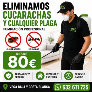 Elimina todos los bichos de casa, desde 80€.