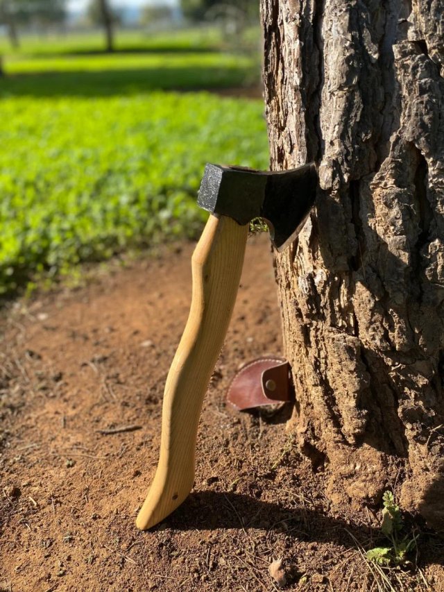 Hacha forjada acero carbono mango curvo
