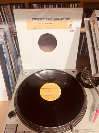 Perpetuous Dreamer - The Sound of Goodbye