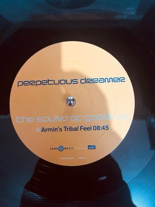 Perpetuous Dreamer - The Sound of Goodbye