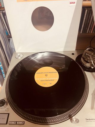 Perpetuous Dreamer - The Sound of Goodbye