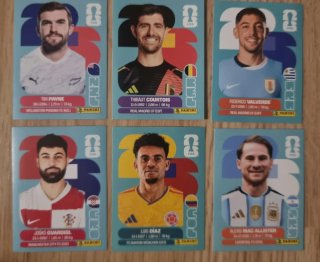 Cromos Panini Mundial 2026 Tim Payne + Hits