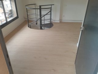Servicio de mudanzas y pintura