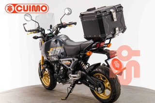 HONDA MSX 125