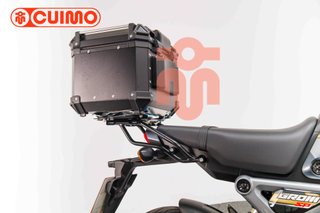 HONDA MSX 125