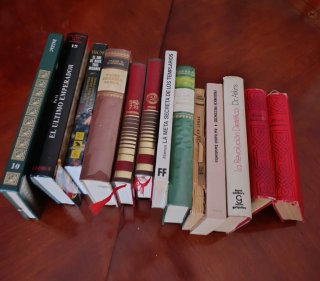 Lote de 12 libros variados