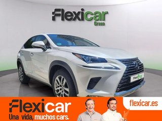 Lexus NX 2.5 300h Executive Navigation