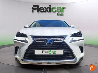 Lexus NX 2.5 300h Executive Navigation