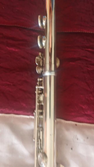 Flauta travesera Eastman iniciación