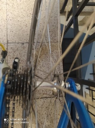 Bicicleta carbono Basso espectacular clásica extrs