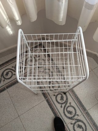 Carrito Frutero Blanco