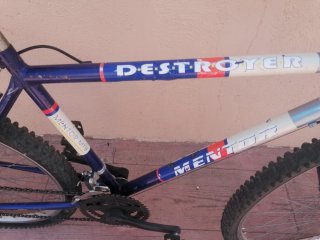 Bicicleta de Montaña