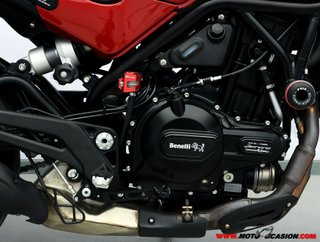 BENELLI LEONCINO 500 -APTA A2
