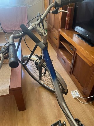 Bicicleta urbana plateada y azul