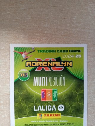 Cartas fútbol Panini Edición Limitada