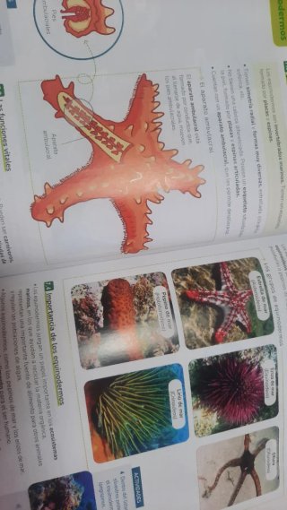 Biología y Geología 1 ESO.