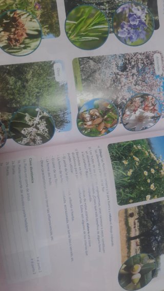 Biología y Geología 1 ESO.
