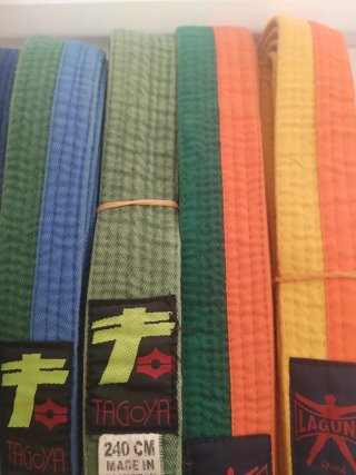 Lote Cinturones Artes Marciales Tagoya
