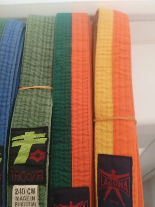 Lote Cinturones Artes Marciales Tagoya