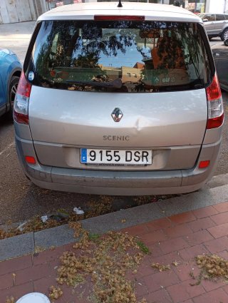 Renault Scenic 2005
