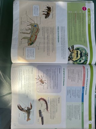 BIOLOGIA Y GEOLOGIA Santillana 1ESO