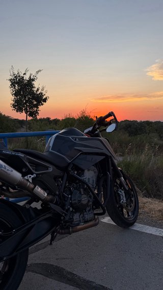 KTM Duke 790 L 2023 (A2)