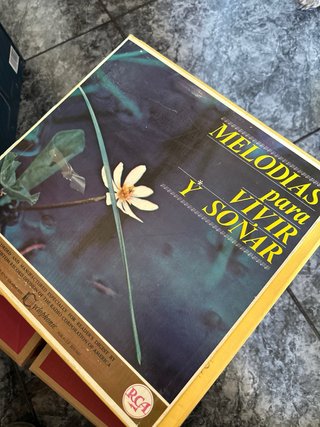 Lote Vinilos Música Clásica Antiguos