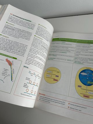 Biologia, 2 Batxillerat