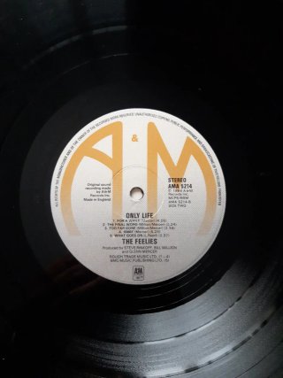 Vinilo The Feelies - Only Life