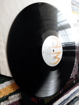 Vinilo The Feelies - Only Life