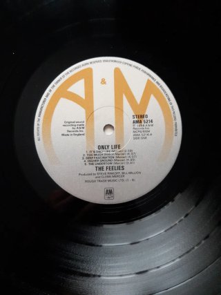 Vinilo The Feelies - Only Life