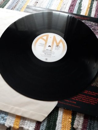 Vinilo The Feelies - Only Life